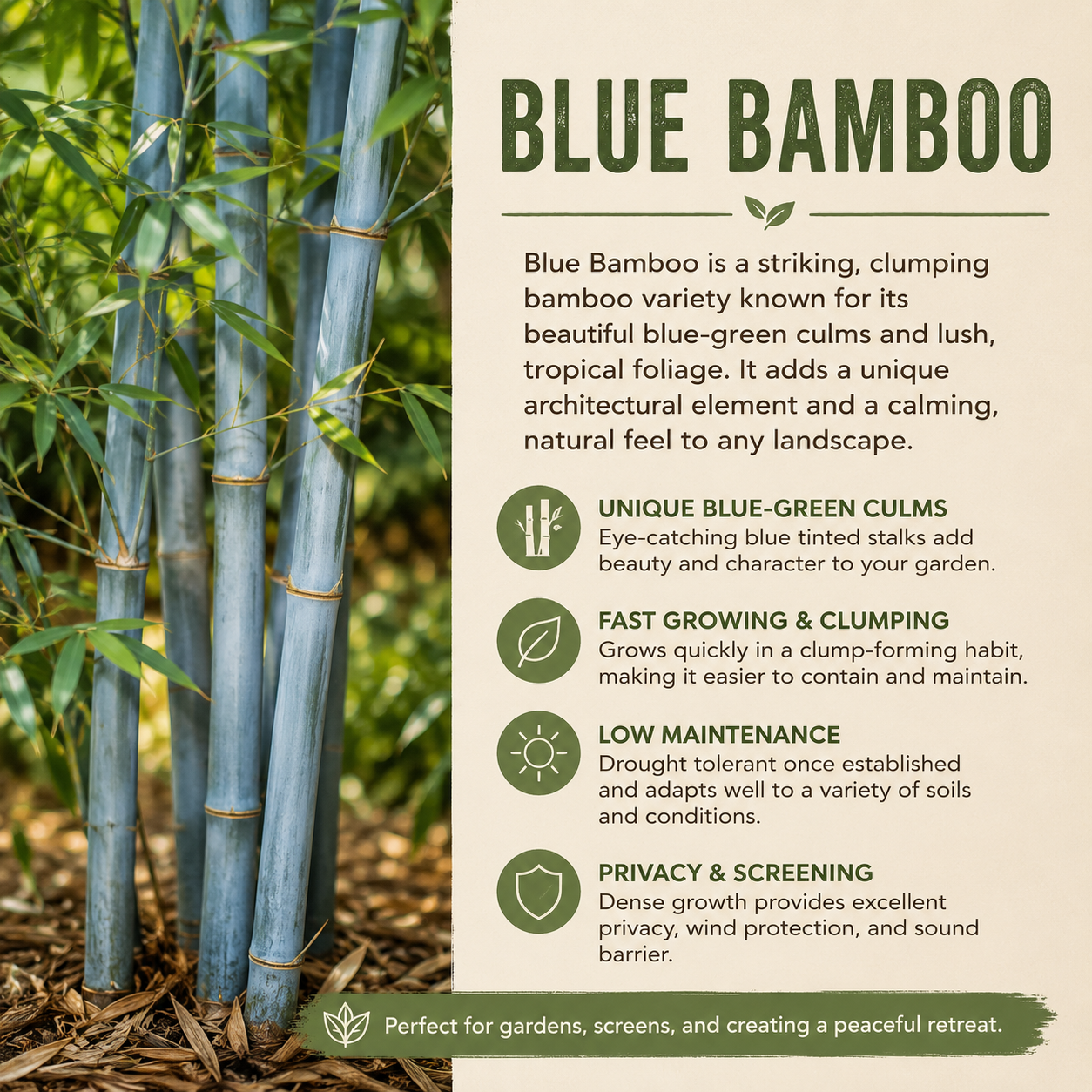 Blue Bamboo